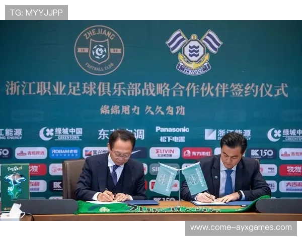 足球联赛在青训扶持中建立区域资源共享机制提升培养效率与公平性